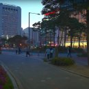 핑크벨리 Daum카페