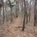 효석문학100리길 제4구간 이미지