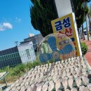 금성유통