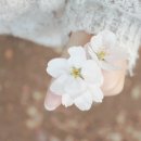 너에게로 감동해 이미지