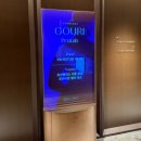 라인8차 | 20260310 고우리 시술 디자인 정리 (Pro-Lab 8차 후기 + 관자 시술 경험)