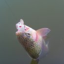 샘골낚시터 이미지