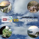 오즈빌리지 이미지