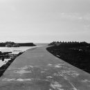 동일리-4 이미지