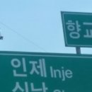 지젤팬션 이미지