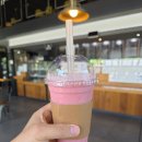 ​🥭 [전주 카페] 캠퍼스 안에서 만나는 달콤한 휴식, 전주대 '망고식스' 솔직 후기