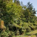 남해-213 이미지