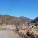 침곡리 입구 한국일보