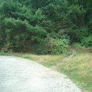 용인정신병원 이미지