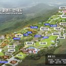 국화문화기획 이미지