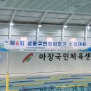 동안구청 민원봉사과 옆 | 제6회 성동구연맹 수영대회:: 1년된 수영초보 첫대회 후기🐬