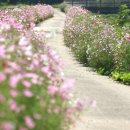 오수천1 이미지