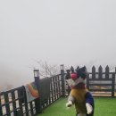 똑순이하우스 네이버블로그