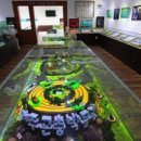 여주곤충박물관 이미지