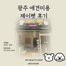 제이펫 | 광주 애견미용 어디 갈까? 선운지구 제이펫 다녀온 직접 후기