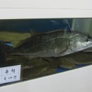 팔팔회수산별관