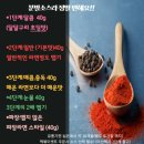 중독언니네