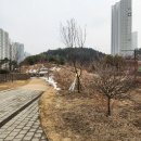 왕배푸른숲도서관 | 동탄 산척동 왕배푸른숲도서관 아이 성인 모두 가볼만한곳 책 대여 가능 도서관