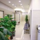 정승문내과의원 이미지