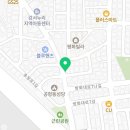 심쿵하개 강아지고양이 분양 강서점 이미지