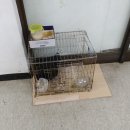 극동자동차정비공업사 네이버블로그