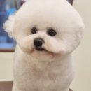 몽핏 이미지