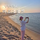 강원도여행 양양가볼만한곳 하조대해수욕장 포토존 오대양수산회센타 양양횟집 추천