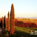 포도가 있는 풍경 이미지