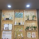 웰빙카페지압안마원 | [수원 마사지] 웰빙카페지압안마원 커플마사지 후기