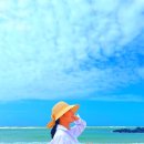 함덕 푸른밤 이미지