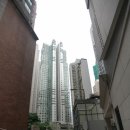 스타여행사유 이미지