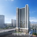 용산-269 이데일리