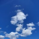 준이농장 이미지