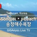 송정해변로20-1 이미지