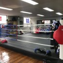 전일 복싱클럽 이미지