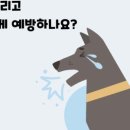 장호원동물병원 이미지