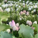 내셔널 갤러리 명화전 [3]
