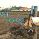 제주를그리다