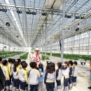 만승초교 병설유치원 이미지