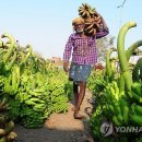 윤영숙농장 연합뉴스