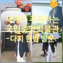국립중앙박물관 관람 후기｜세계가 주목한 박물관, 그래도 조금은 아쉬웠던 재방문