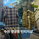 코지아월스