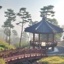 산청한방가족호텔 노래연습장 | 산청 동의보감촌에서의 아이들과아침 산책