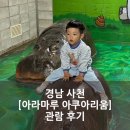 주차36 | 경남 사천 [아라마루 아쿠아리움] 관람 후기(36개월 미만 입장료 무료) 주차팁