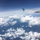DCS자격증 CRS자격증 필수일까?(#지상직 승무원)