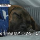 이경규농장 이미지