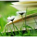 경우인쇄사 이미지