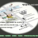 맛디아 이미지