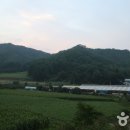 백년펜션 야영장 이미지
