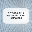명상으로 치유하는 삶 이미지